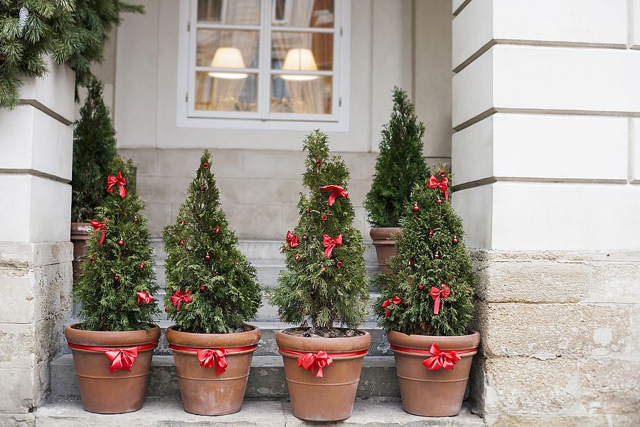 Decorated with red bows and balls, Christmas trees in pots near house
